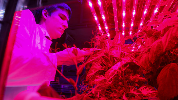 Russian Agricultural Sector Faces Looming Labor Crisis as Only 15.5% of Workers Are Under 35