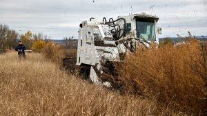 Demined Agricultural Fields Generate Nearly 1 Billion Hryvnias in Revenue for Ukrainian Farmers Over Past Year