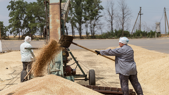 How the Situation in the Azov and Black Seas Will Impact Global Grain Exports