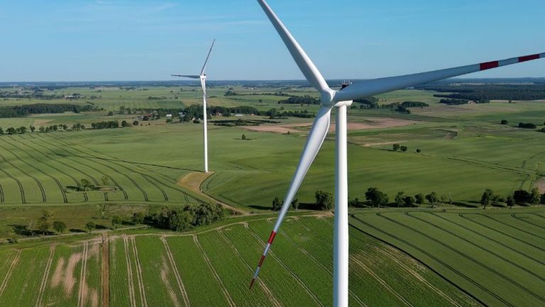 Polish Energy Company Grupa Mosty Plans to Build Ukraine’s Largest Wind Farm in Odesa Region