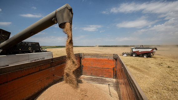 Russia Allocates 10 Billion Rubles to Support Railway Transport for Agricultural Sector Amid Sea of Azov Shipping Restrictions