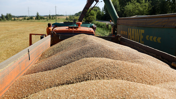 Russia Considers Suspending Grain Export Duties Through Year End Amid Port Logistics Challenges