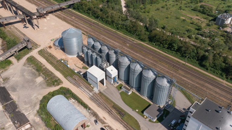 Ukrainian Cabinet Requests Central Bank to Ease Currency Repatriation Deadlines for Farmers Amid Port Disruptions